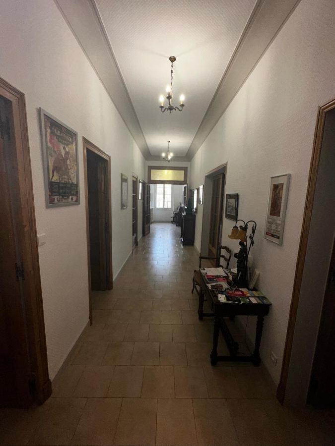 Appartement 4 A 8 Personnes, Spacieux De Standing Classe 4 Etoiles Nimes Ngoại thất bức ảnh